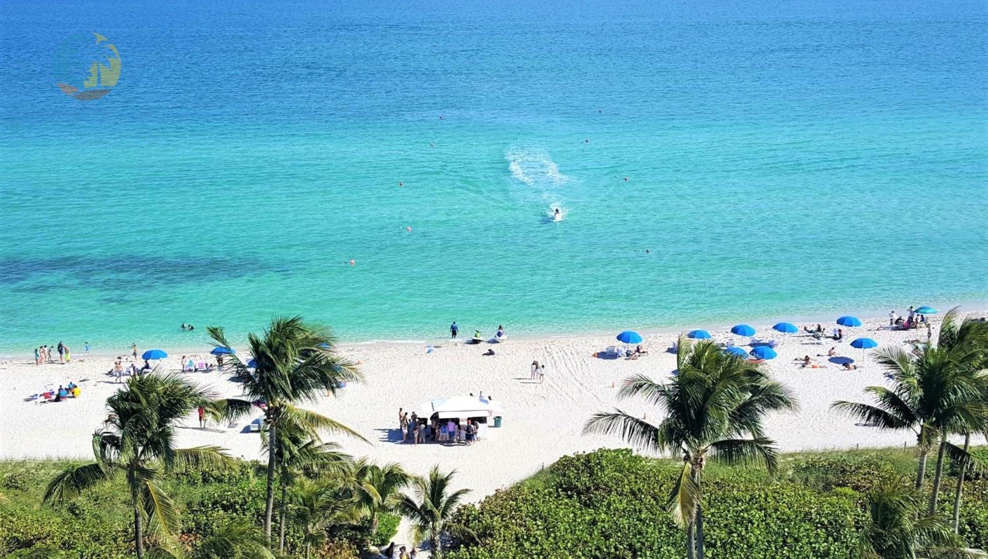 Deluxe Beach Resort - Hora Rentals 迈阿密海滩 外观 照片